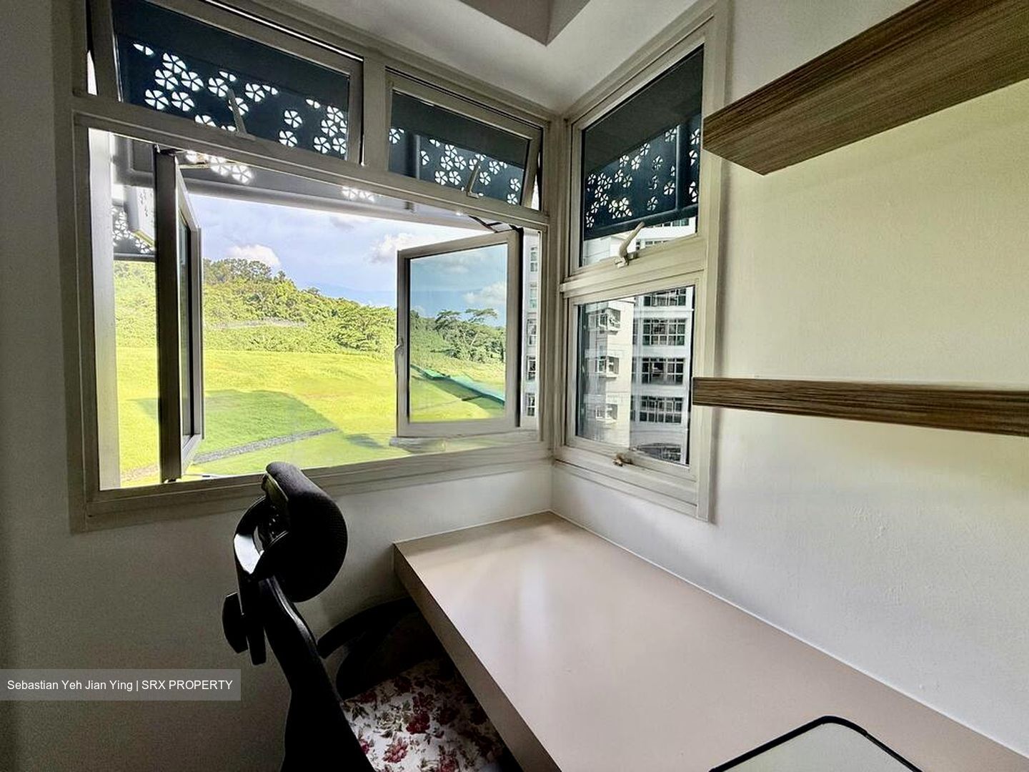 Blk 390 Goodview Gardens (Bukit Batok), HDB 5 Rooms #474729431